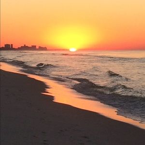 Meet your Posher, Robin