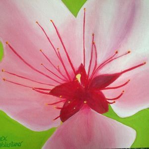 Meet your Posher, Jill