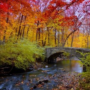 Meet your Posher, Phong