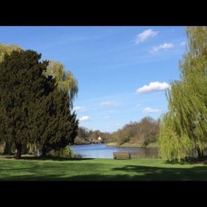 Meet your Posher, Rosa