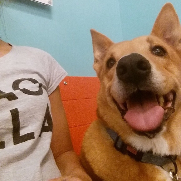 Meet your Posher, Amber - Picture 2 of 4