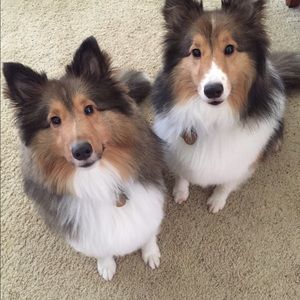 Meet your Posher, Mary