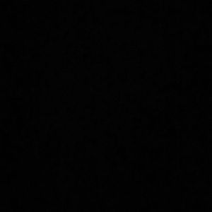 Meet your Posher, Sidney