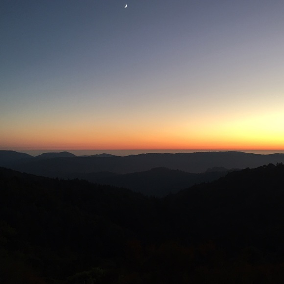 • INSTA & MORE • - Picture 3 of 4