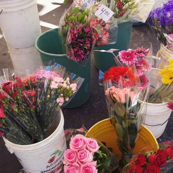 • INSTA & MORE • - Picture 4 of 4