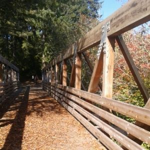 Meet your Posher, Annalee