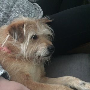 Meet your Posher, Pat