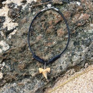 Authentic Shark tooth anklet/bracelets