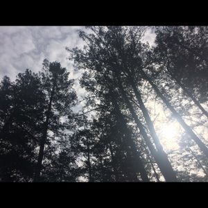 Meet your Posher, Katrina