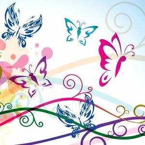 Meet your Posher, Ann