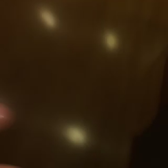 Meet your Posher, Marlee - Picture 1 of 1