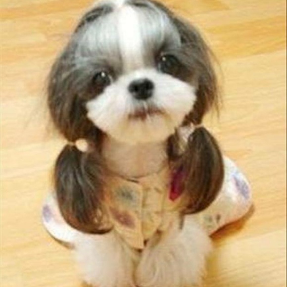 Meet your Posher, Kimberly #bpt - Picture 2 of 4