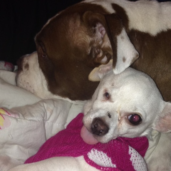 Meet your Posher, Paige - Picture 1 of 1