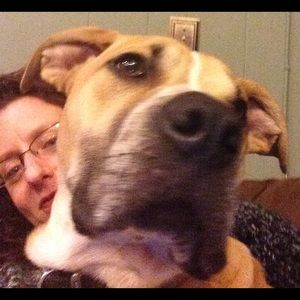 Meet your Posher, Carrie