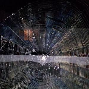 Meet your Posher, Marcus