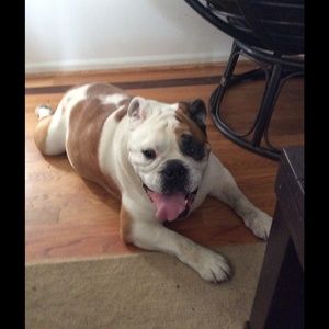 Meet your Posher, Colleen