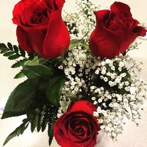 Meet your Posher, Britt