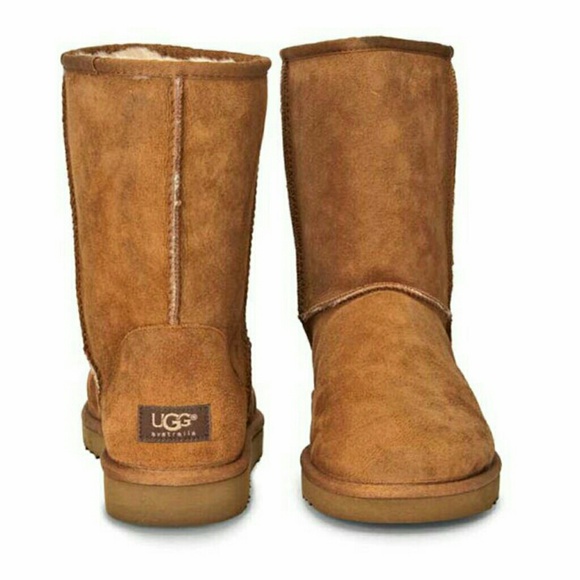 LOOKING FOR UGGS