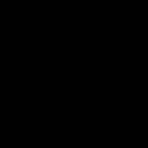 Meet your Posher, Jenn