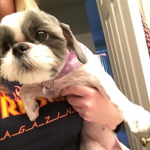 Meet your Posher, Alexia