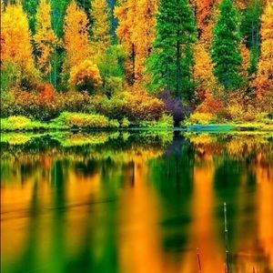 Meet your Posher, Shanita