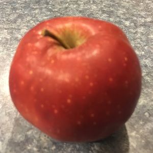 Meet your Posher, Dixie