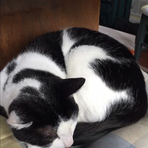 Meet your Posher, Martha