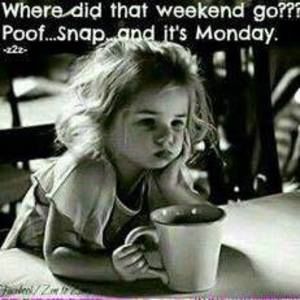 Meet your Posher, Jami