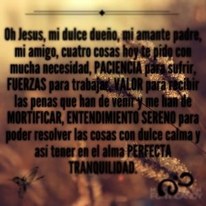 Meet your Posher, Lily