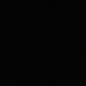 Meet your Posher, Logan