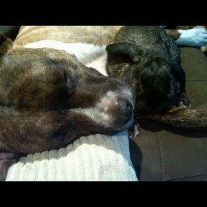 Meet your Posher, Bridget