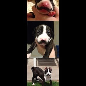 Meet your Posher, Breanna