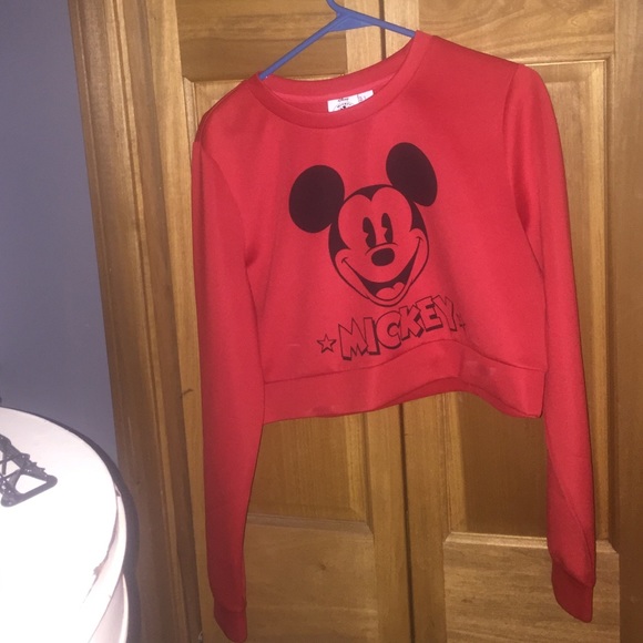crop sweat shirt
