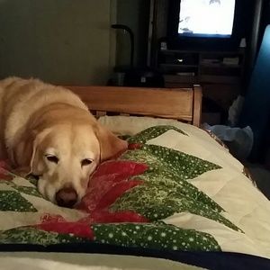 Meet your Posher, Nancy