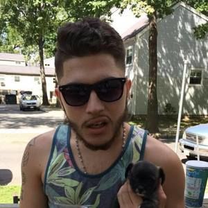 Meet your Posher, Joey