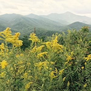 Meet your Posher, Joy