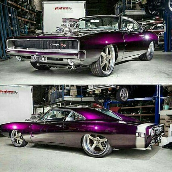 Meet your Posher, Dee - Picture 1 of 1