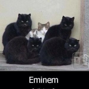 Meet your Posher, Tyler