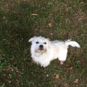 Meet your Posher, Caitlin