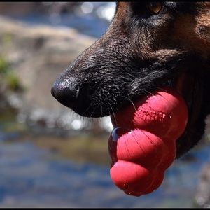 Meet your Posher, Samee