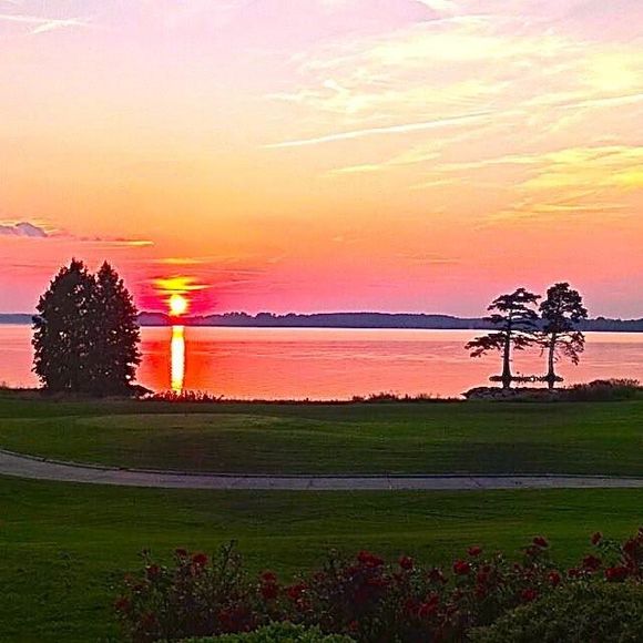 Meet your Posher, Ellen - Picture 1 of 1