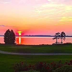 Meet your Posher, Ellen