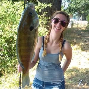 Meet your Posher, Sierra