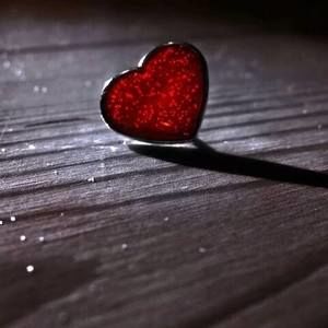 Meet your Posher, Karmajo