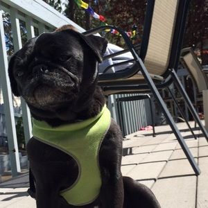 Meet your Posher, Carly