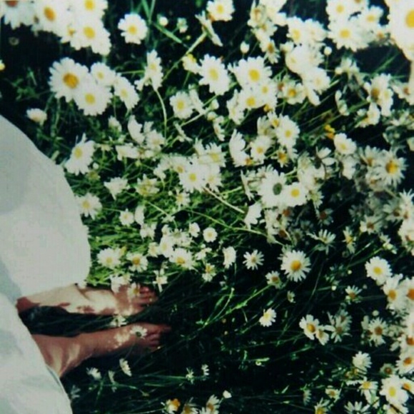 Meet your Posher, Shannan