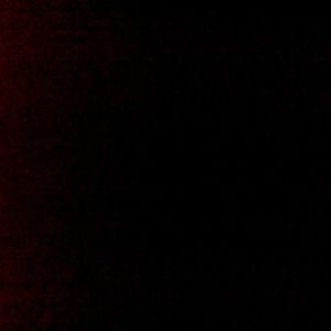 Meet your Posher, Gerald