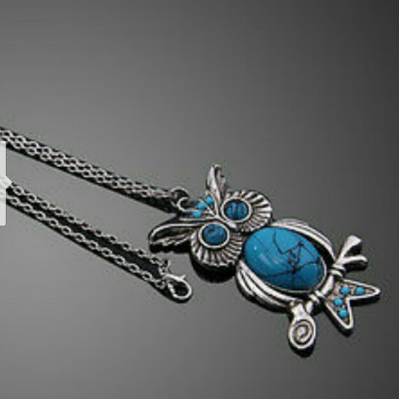 Turquoise Owl necklace with chain NWT