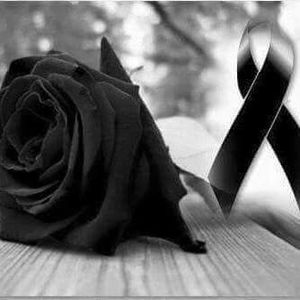 Meet your Posher, Jeannette elyzabeth