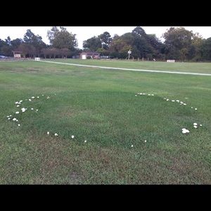 Meet your Posher, Hyehyun